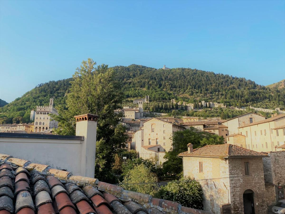 Hotel San Francesco E Il Lupo 古比奥 外观 照片